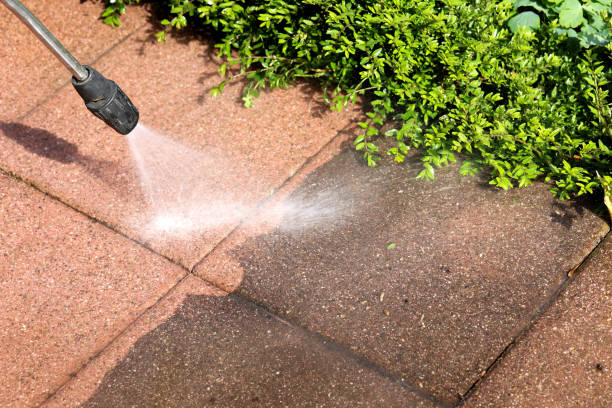 Local Pressure Washing Services in Rockford, MN